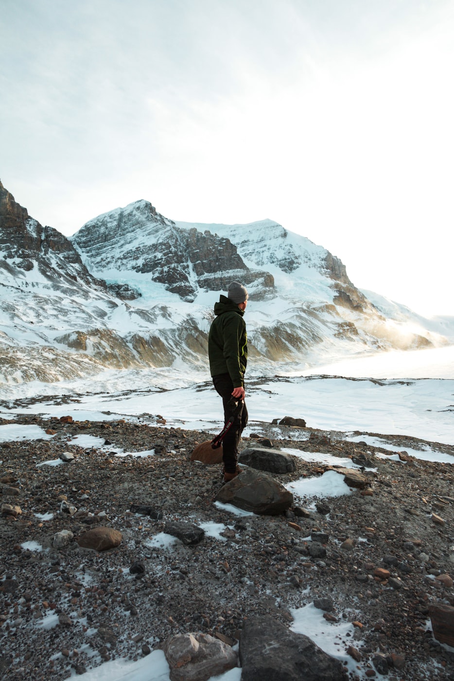 关于4xj的最新探索与发现报道