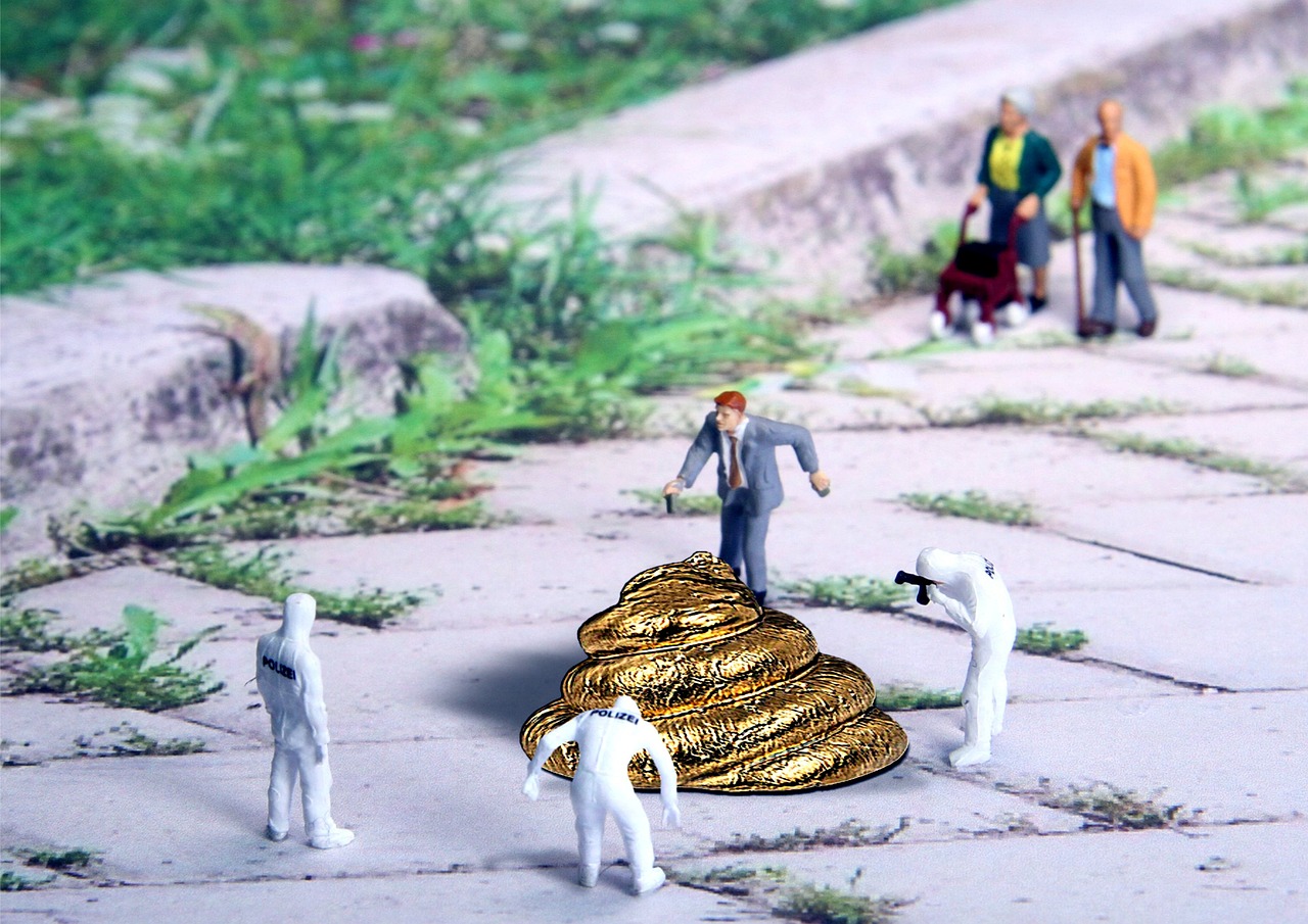 最新捕兔设备,技术革新与动物保护之间的平衡之道