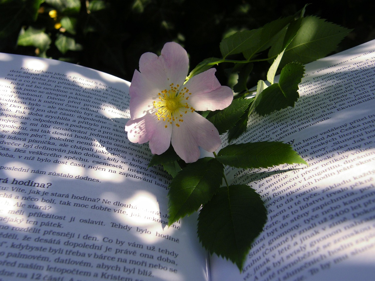 人生路不熟电影，探索多维人生面貌