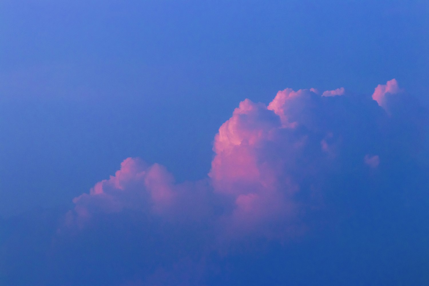 申达股份股票最新动态及分析摘要