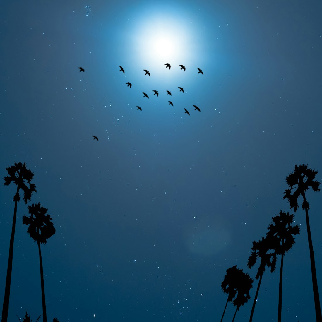 星空动漫头像,探索虚拟世界的创意魅力