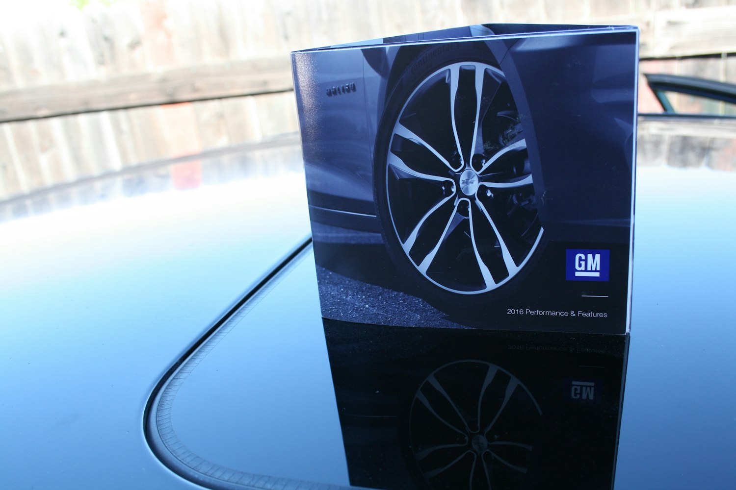 石洋新动态,探索未来,展现新面貌发展展望