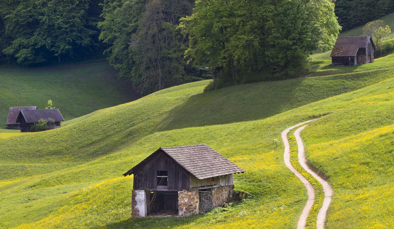 中农立华引领农业科技创新，助力农业现代化最新动态速递
