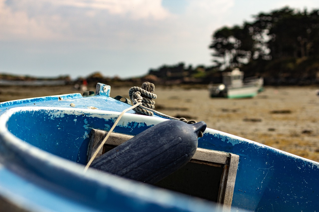 盐城疫情动态更新，全面应对，守护家园安全