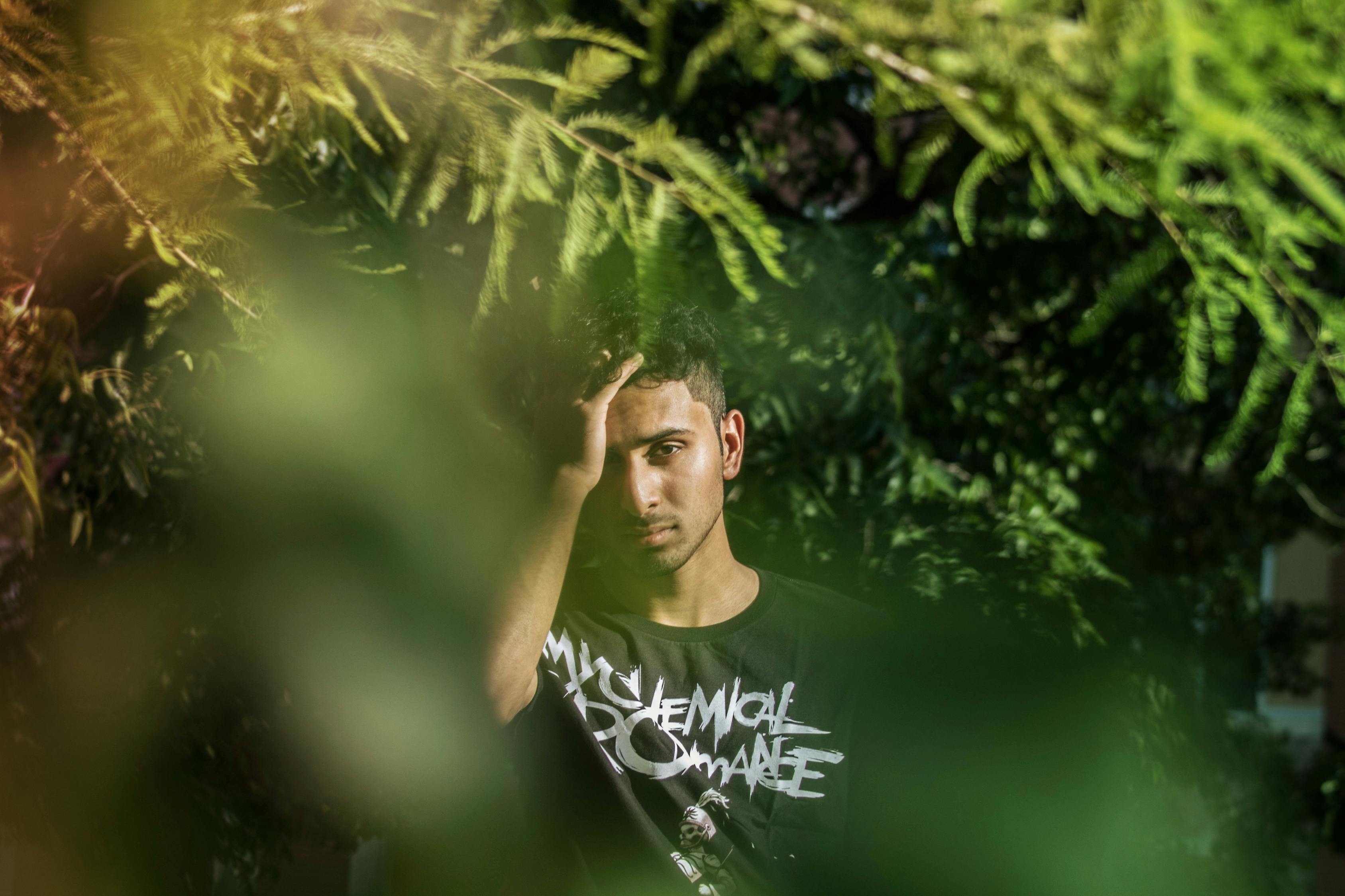 最新入库言情作品,探索情感的细腻内心世界