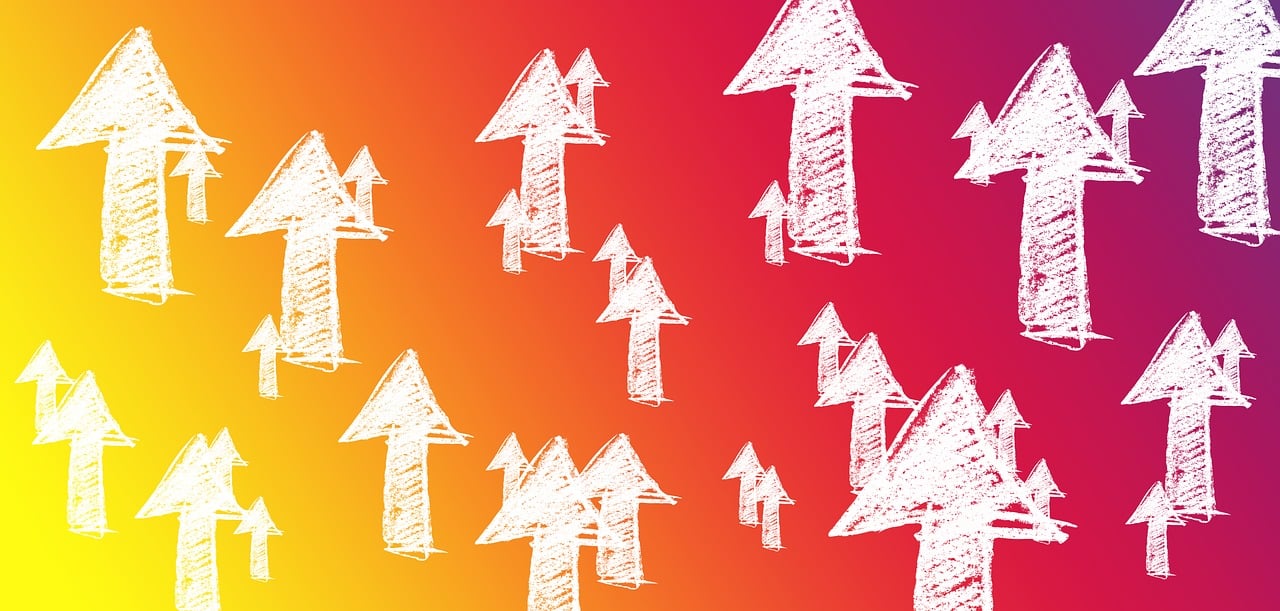 顺鑫农业上市，开启农业企业发展新篇章