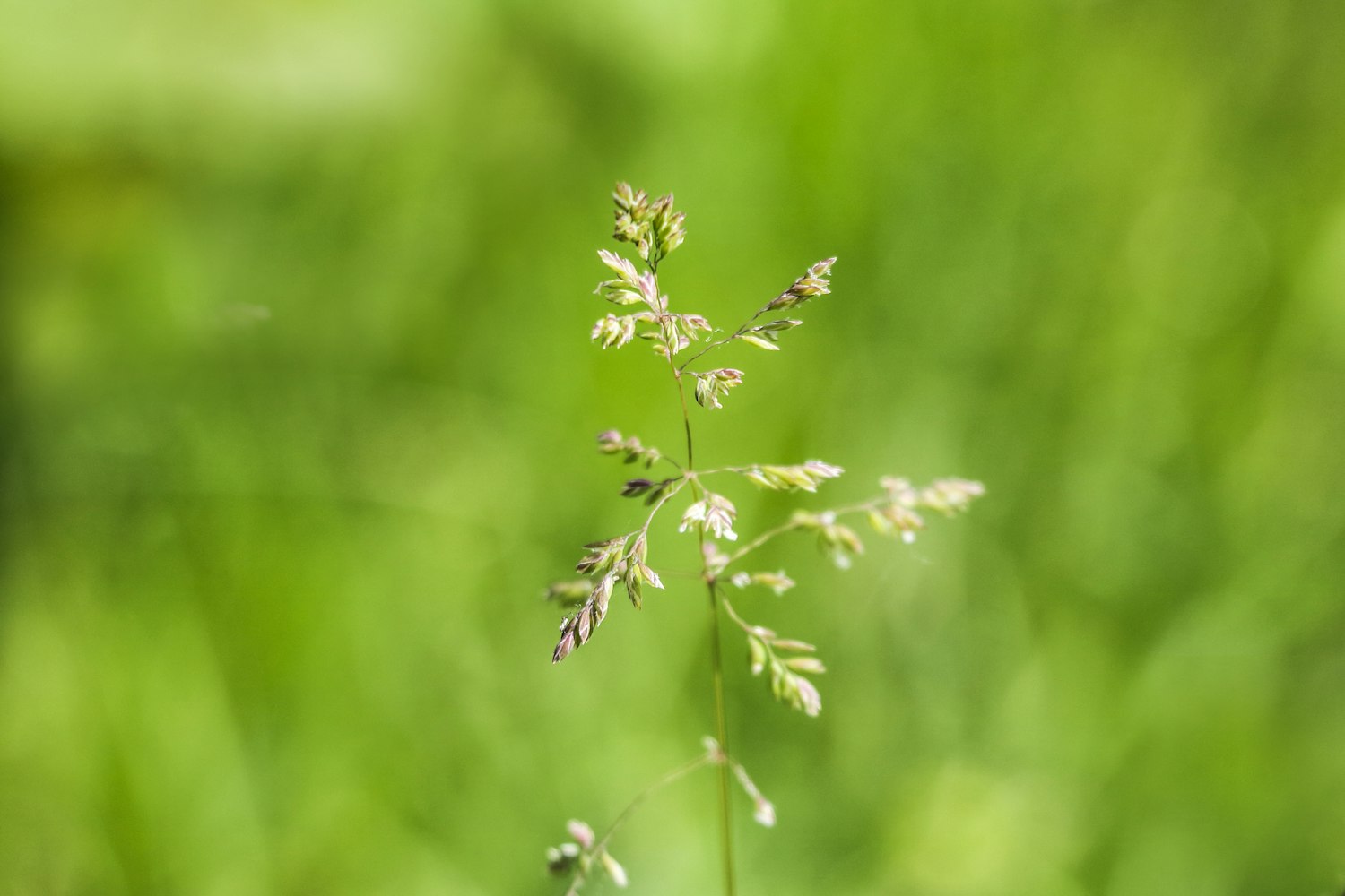藤浦惠新动态,引领新时代,探索未来之路上演新篇章