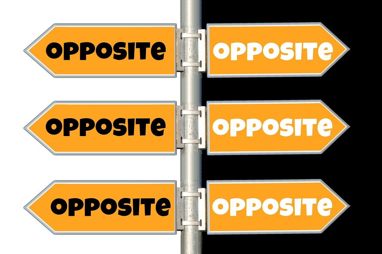 东莞火灾最新动态今日发布，全面解析火情及应对措施进展