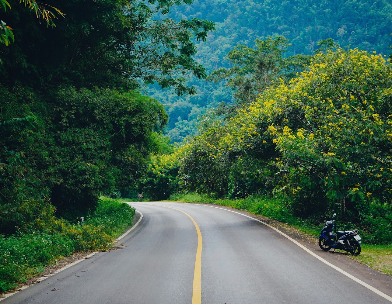 探索最新域名资讯,99热最新域名动态一网打尽