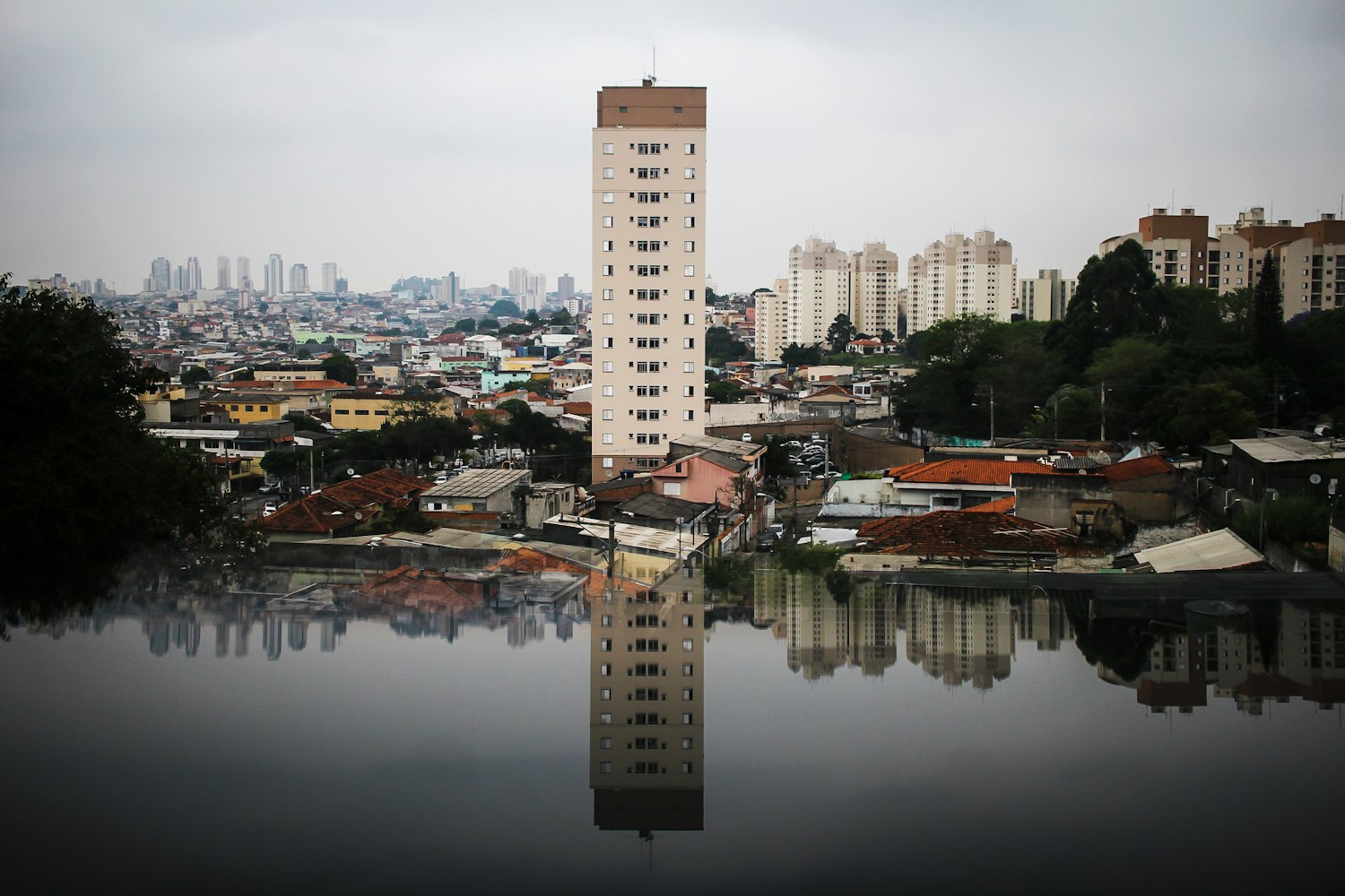 禹城新鲜资讯圈,城市信息的汇聚与交流平台