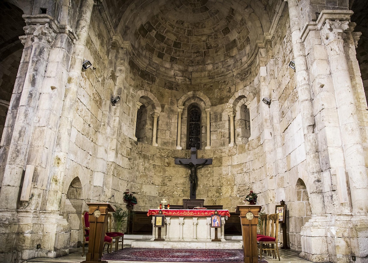 探寻最新先祖,历史与文化的连结之旅