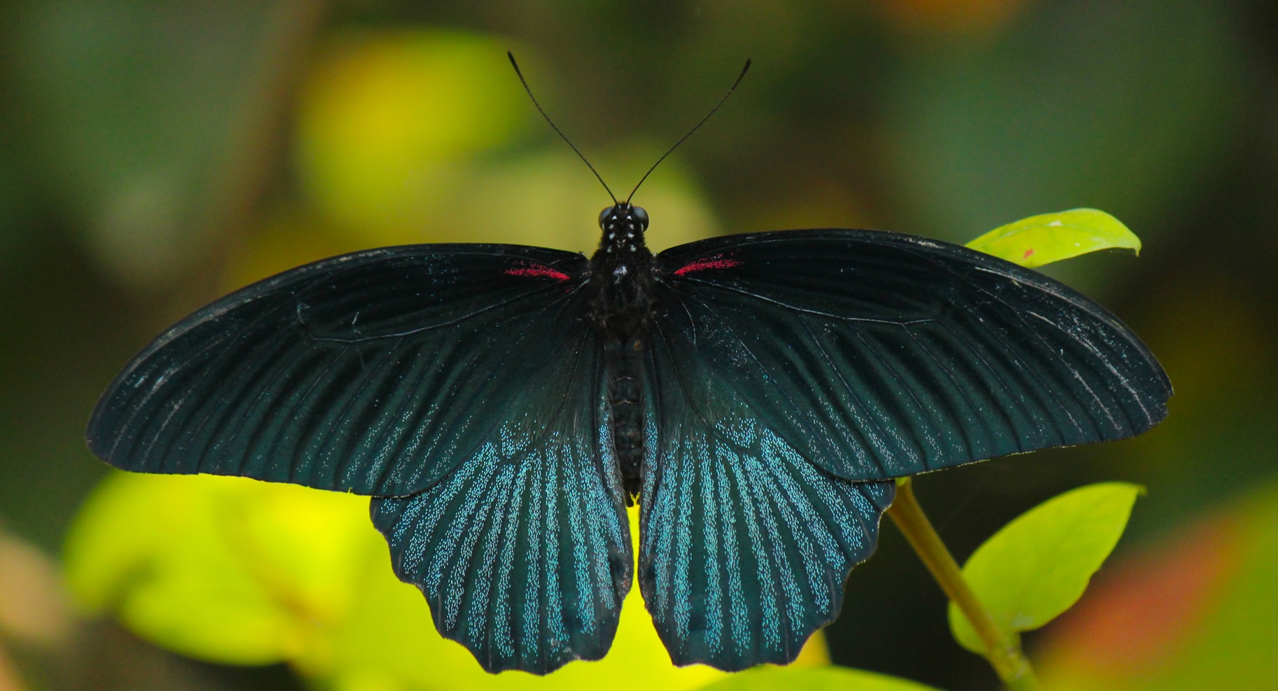 台湾游客减少最新动态,影响分析、未来展望与趋势预测