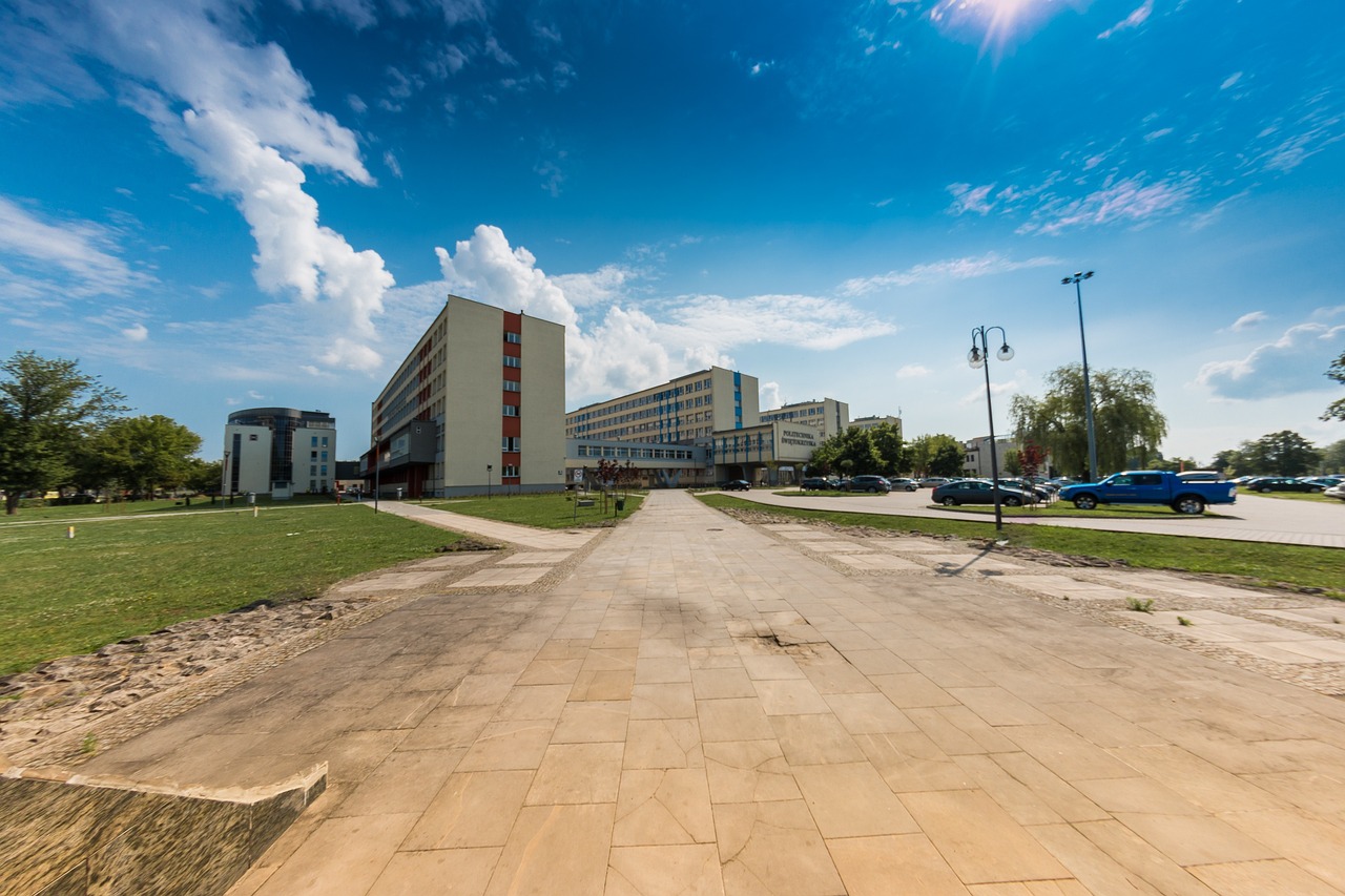 大杨树贴吧，最新更新与繁荣的社区交流中心