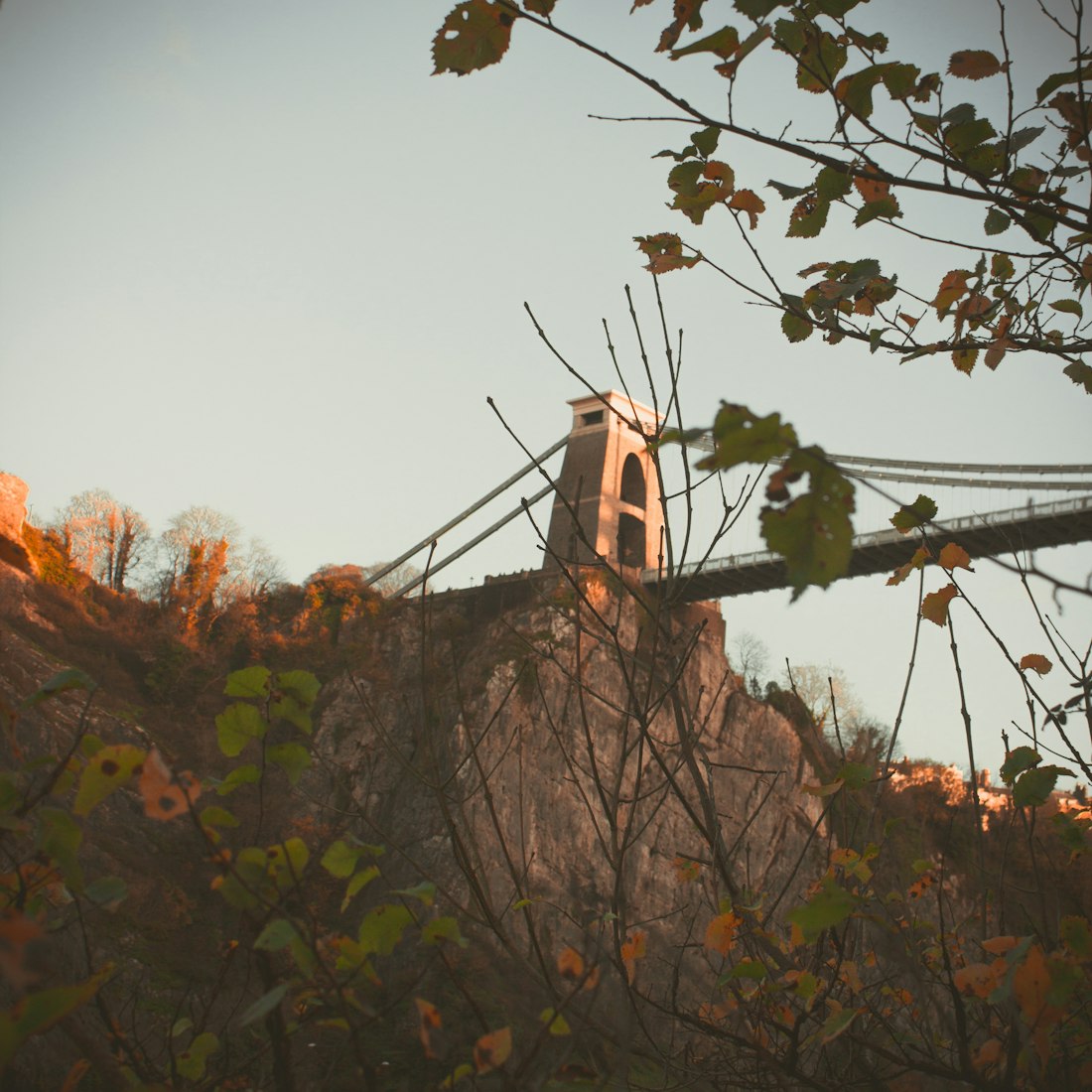 最新纱线行情深度解析报告，市场动态概览与趋势分析