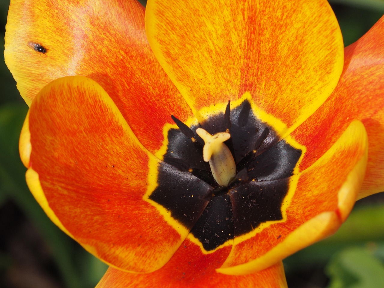 青岛边祥慧的最新动态，探索与发展步伐不停歇