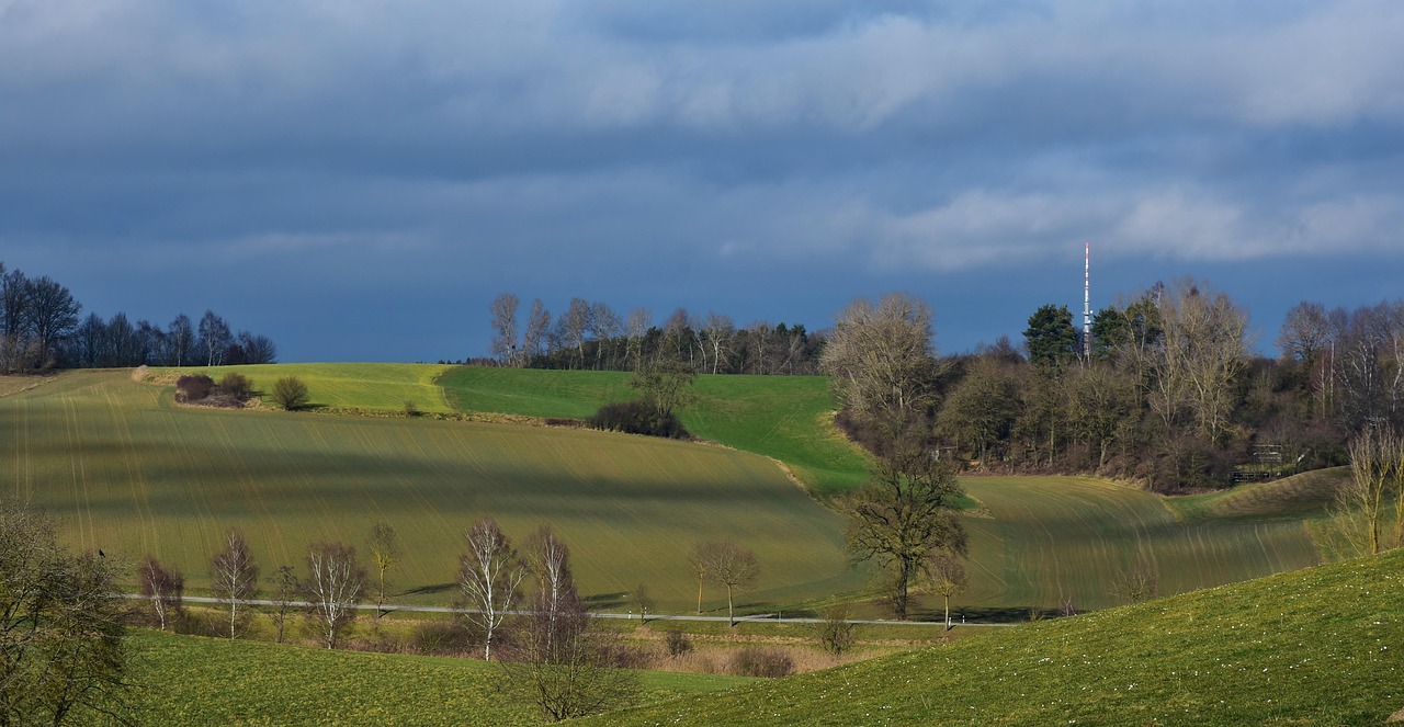 云币BTS实时行情分析与展望，最新动态与市场预测