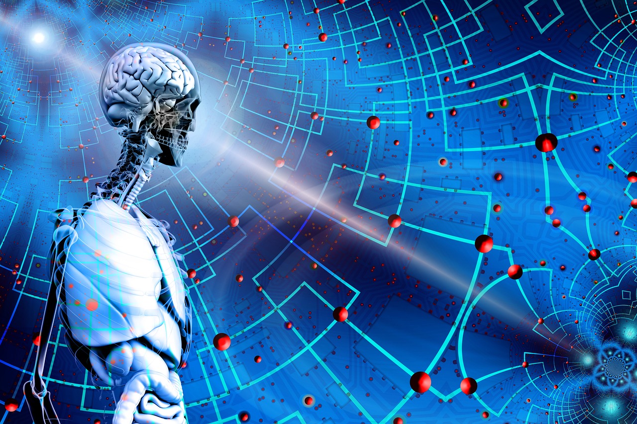 探索未来之路,2017年度最新标语的启示与力量