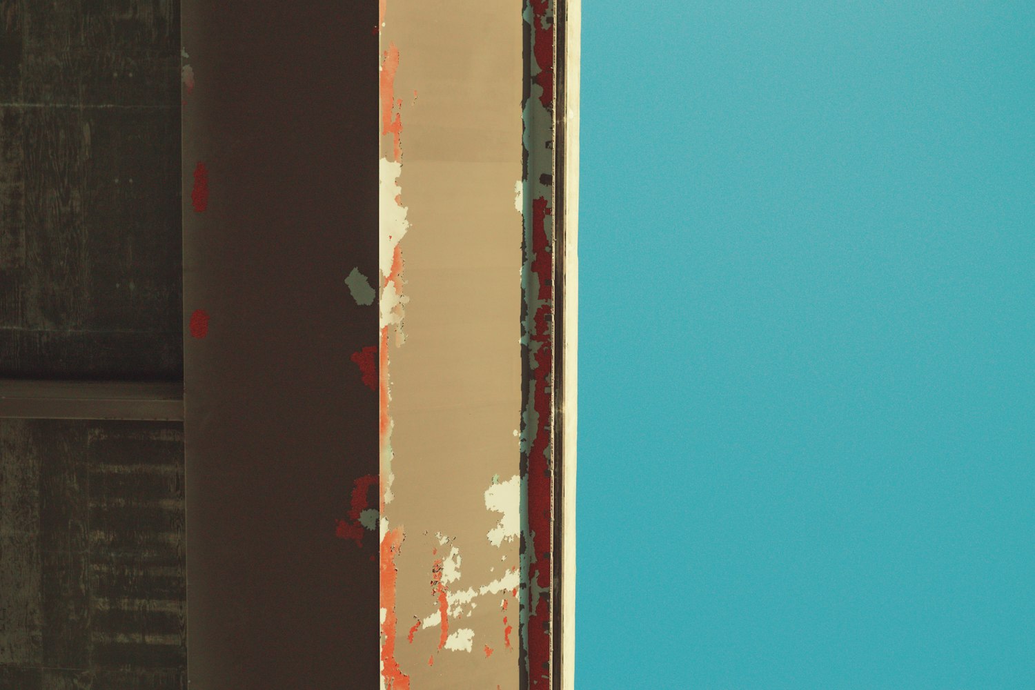 小强最新动态揭秘,探索未知,勇往直前!