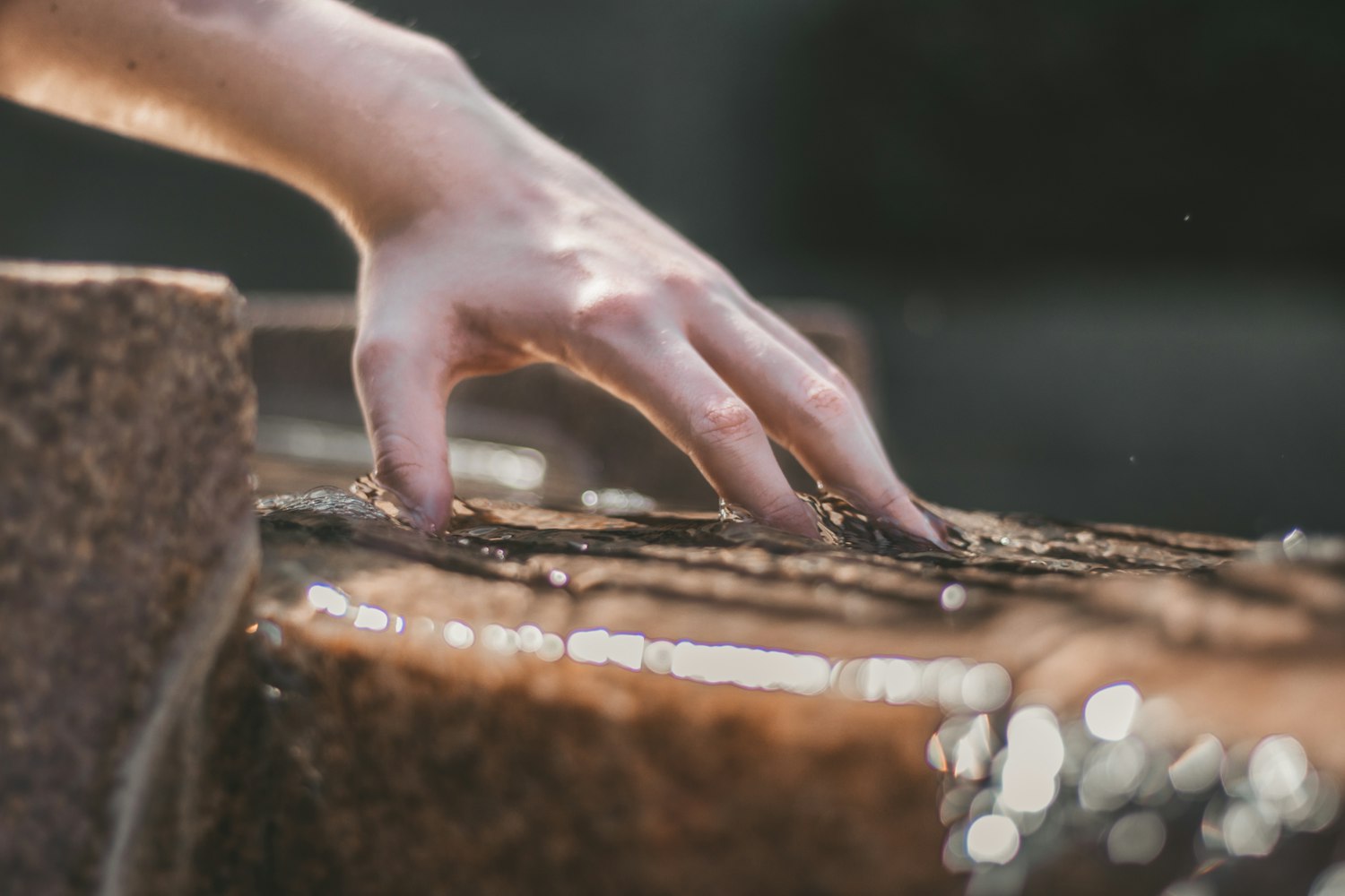 最新采耳图片,揭秘耳朵的奥秘与美丽探索