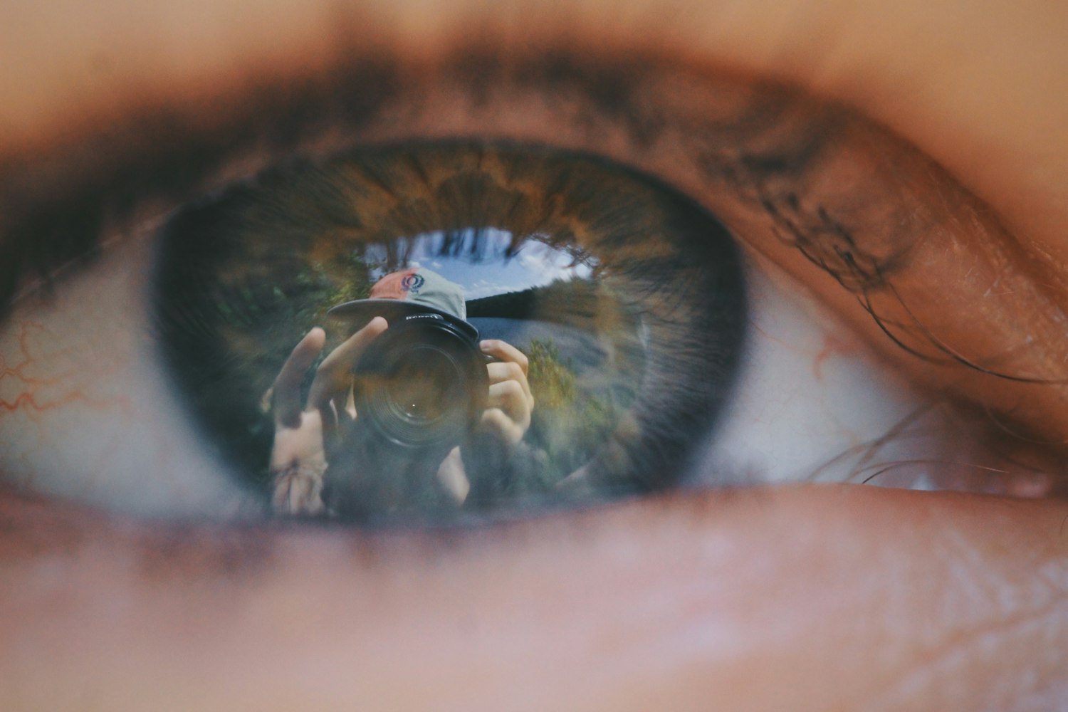 最新采耳图片,揭秘耳朵的奥秘与美丽探索