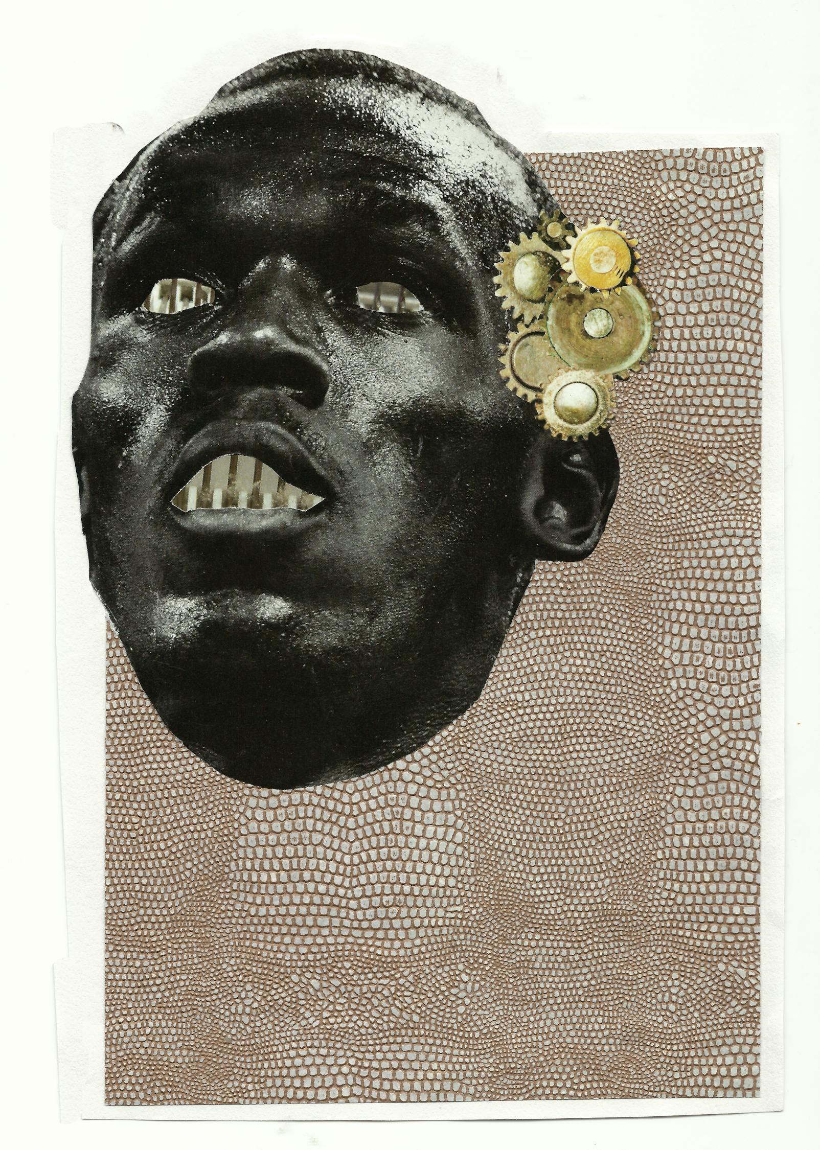 媒体明星，光环下的真实与虚构揭秘