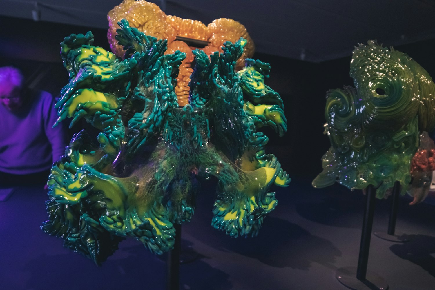 龟动漫,传统与现代的完美融合之旅