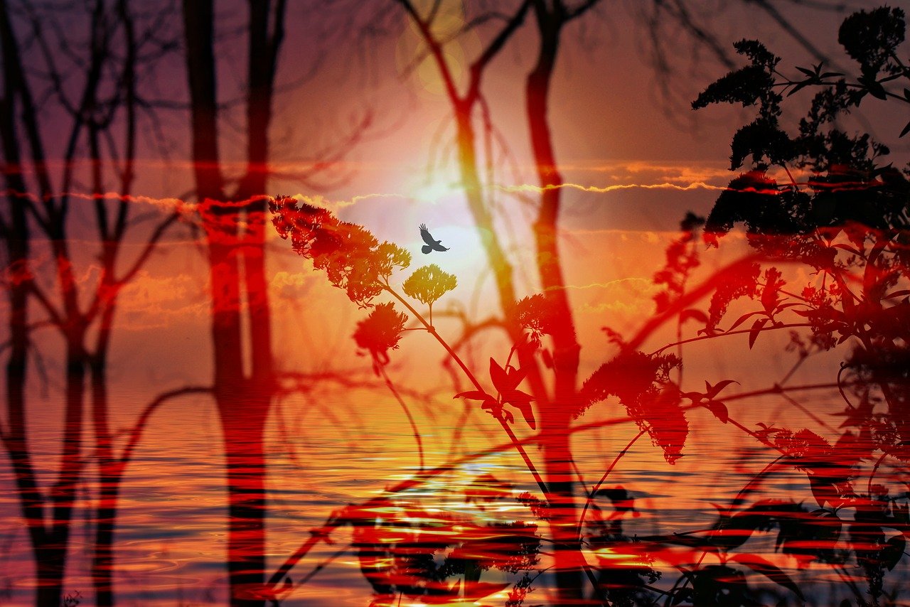 海洋动漫,探索蓝色幻想世界的无尽奥秘