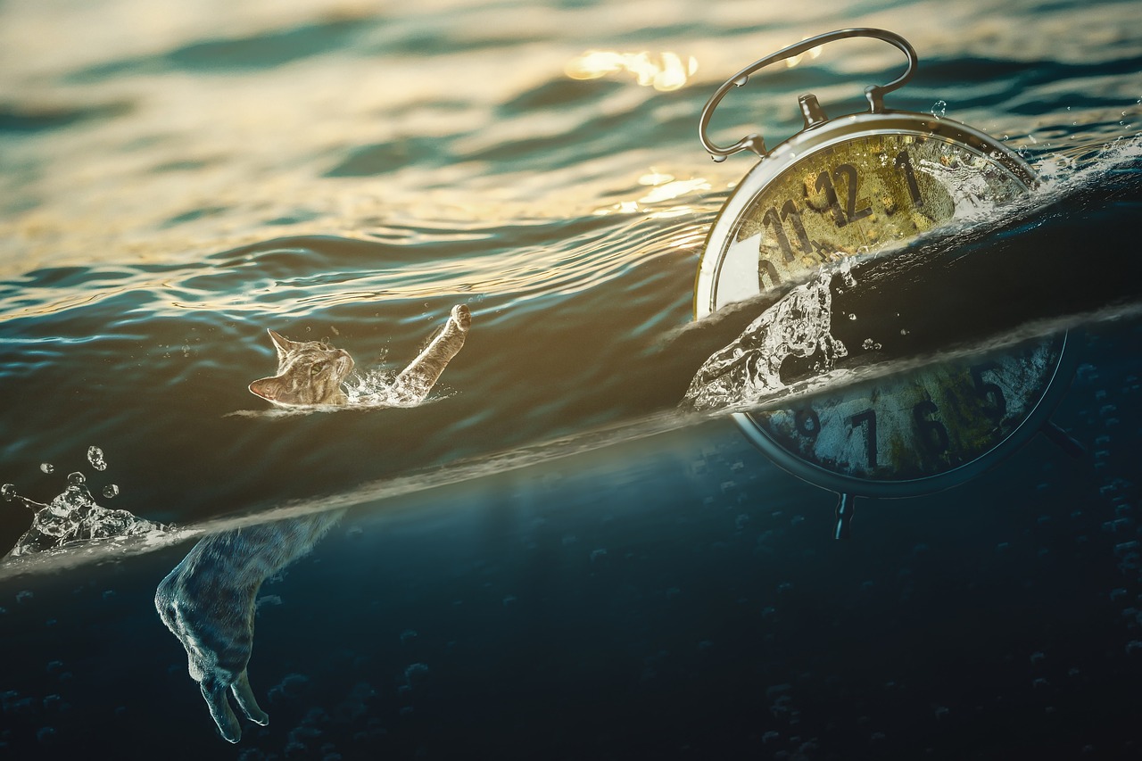 海洋动漫,探索蓝色幻想世界的无尽奥秘