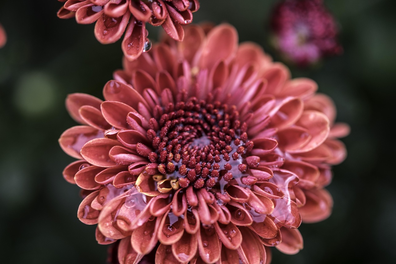 吉先生最新动态揭秘,成功背后的故事浮出水面