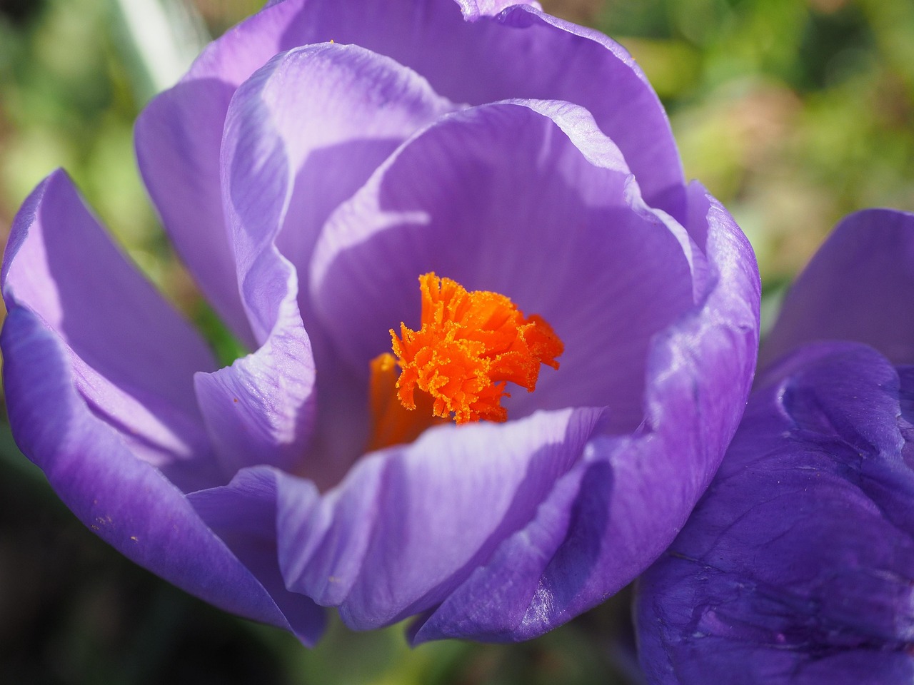 高血压疫苗研究的最新进展与动态