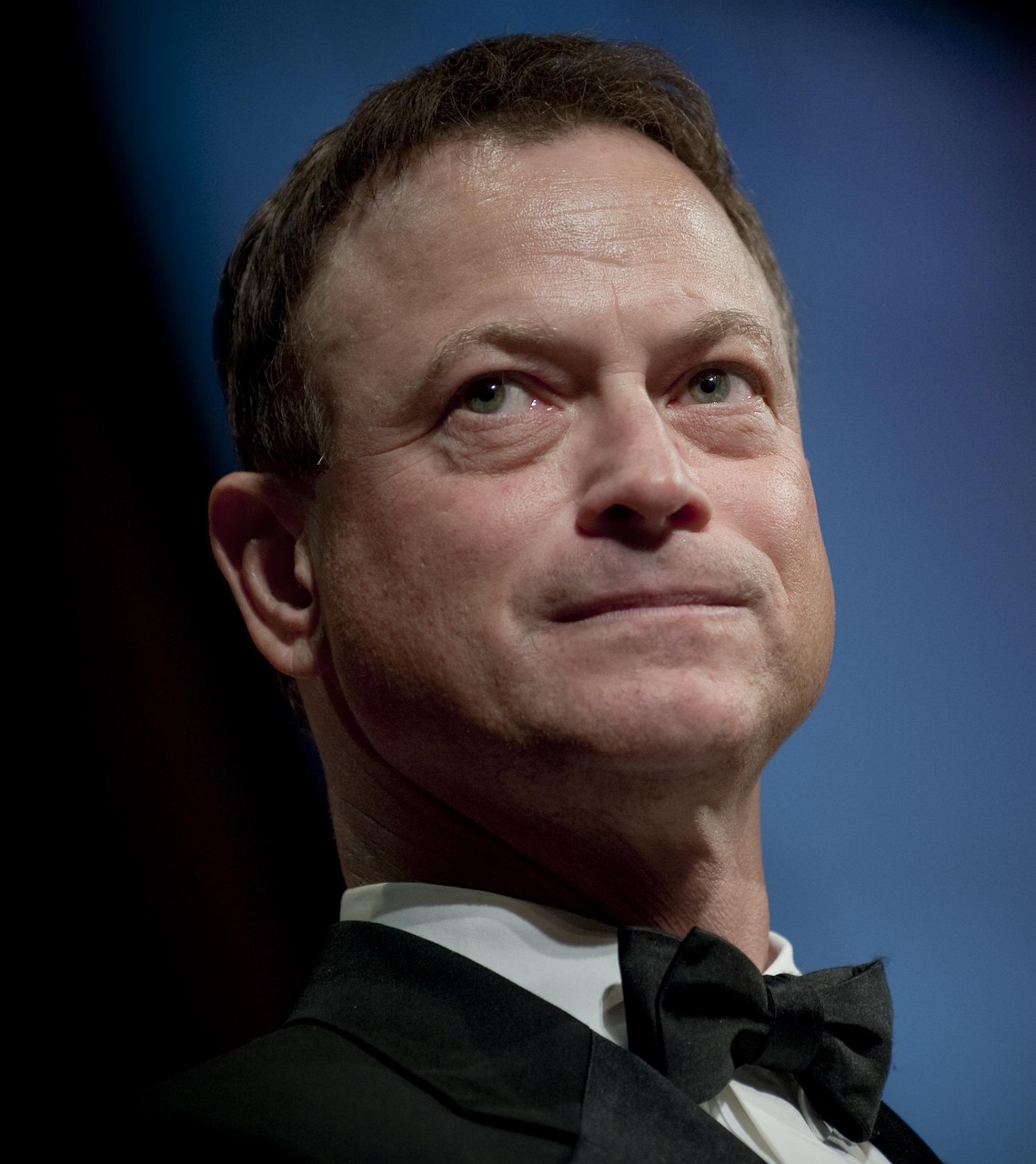 艾丽娅·史塔克演员,璀璨星途的闪耀之路