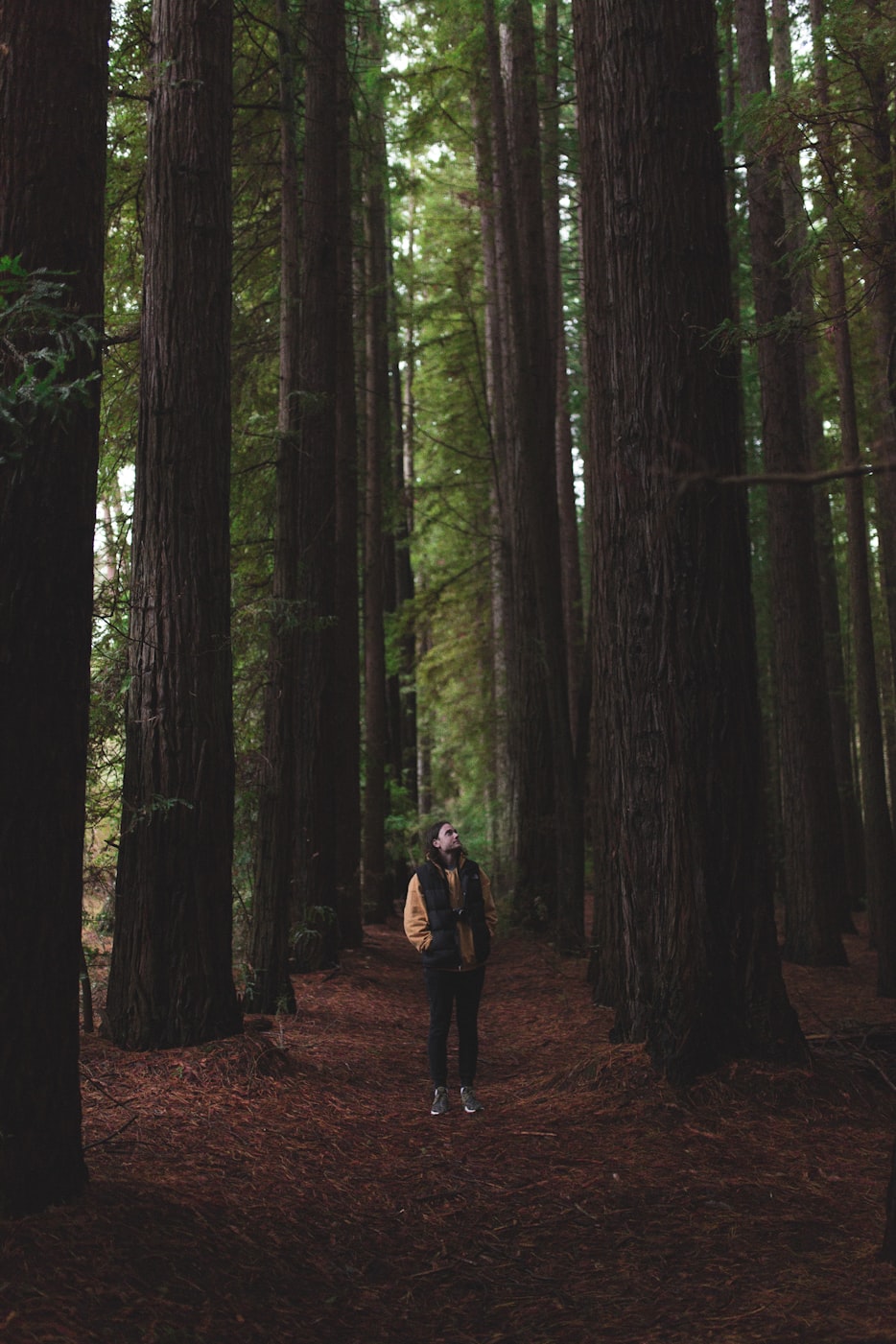 舍与得的电影艺术,探索人生的双重境界