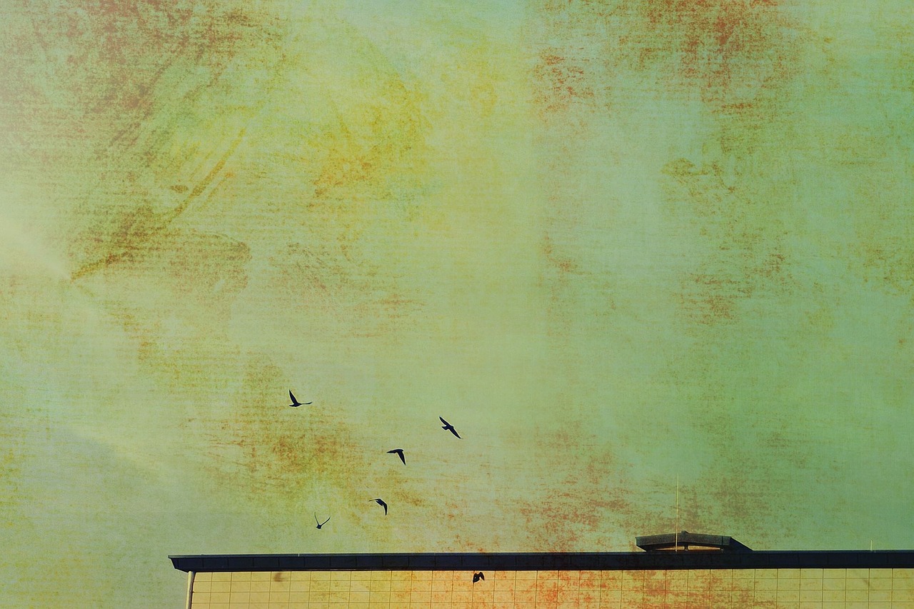 最新住建政策动态及其影响分析