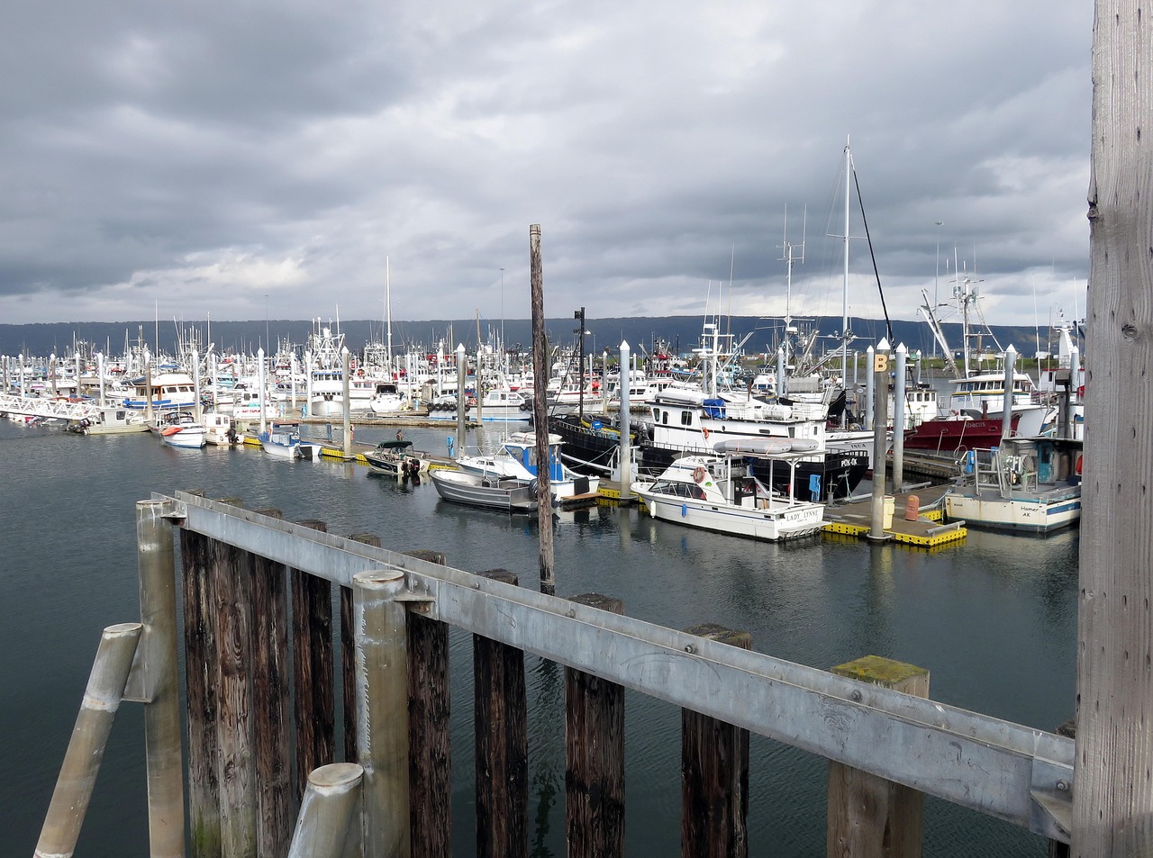 辽宁暴雨最新通知及应对挑战保障安全动态