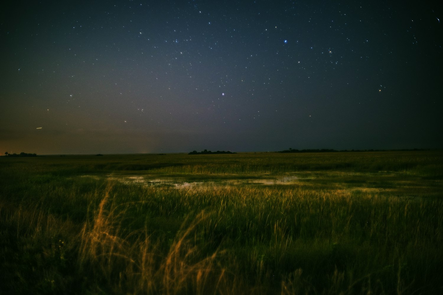 最新乡村情感剧,展现乡土之情的真挚魅力,触动心灵深处的故事