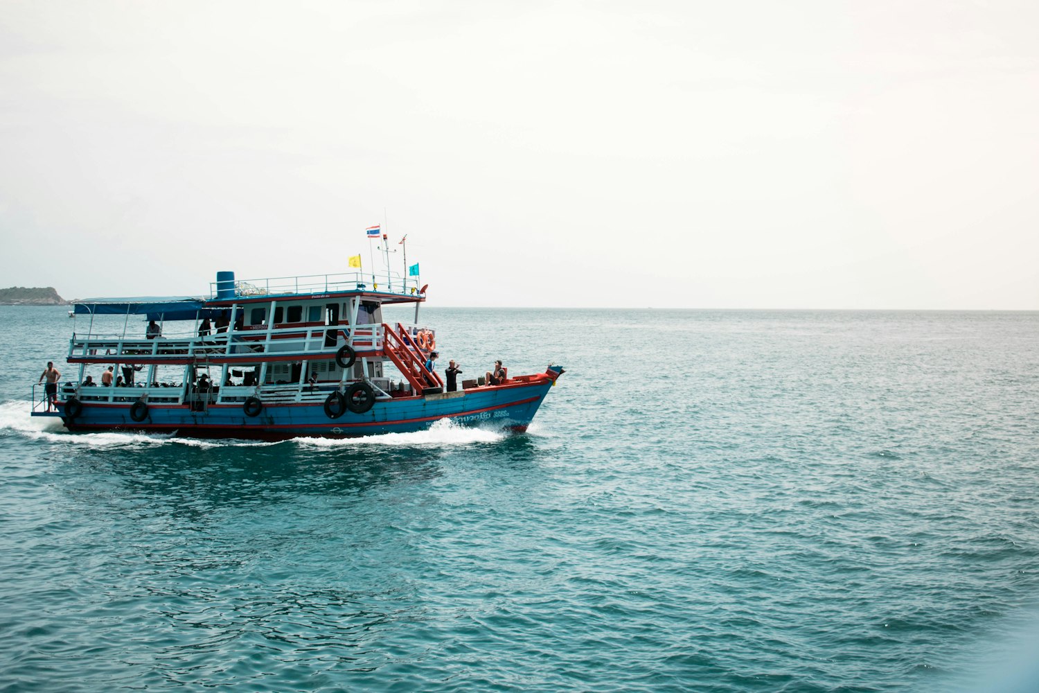 世纪游轮股票,探索与挑战的投资之旅