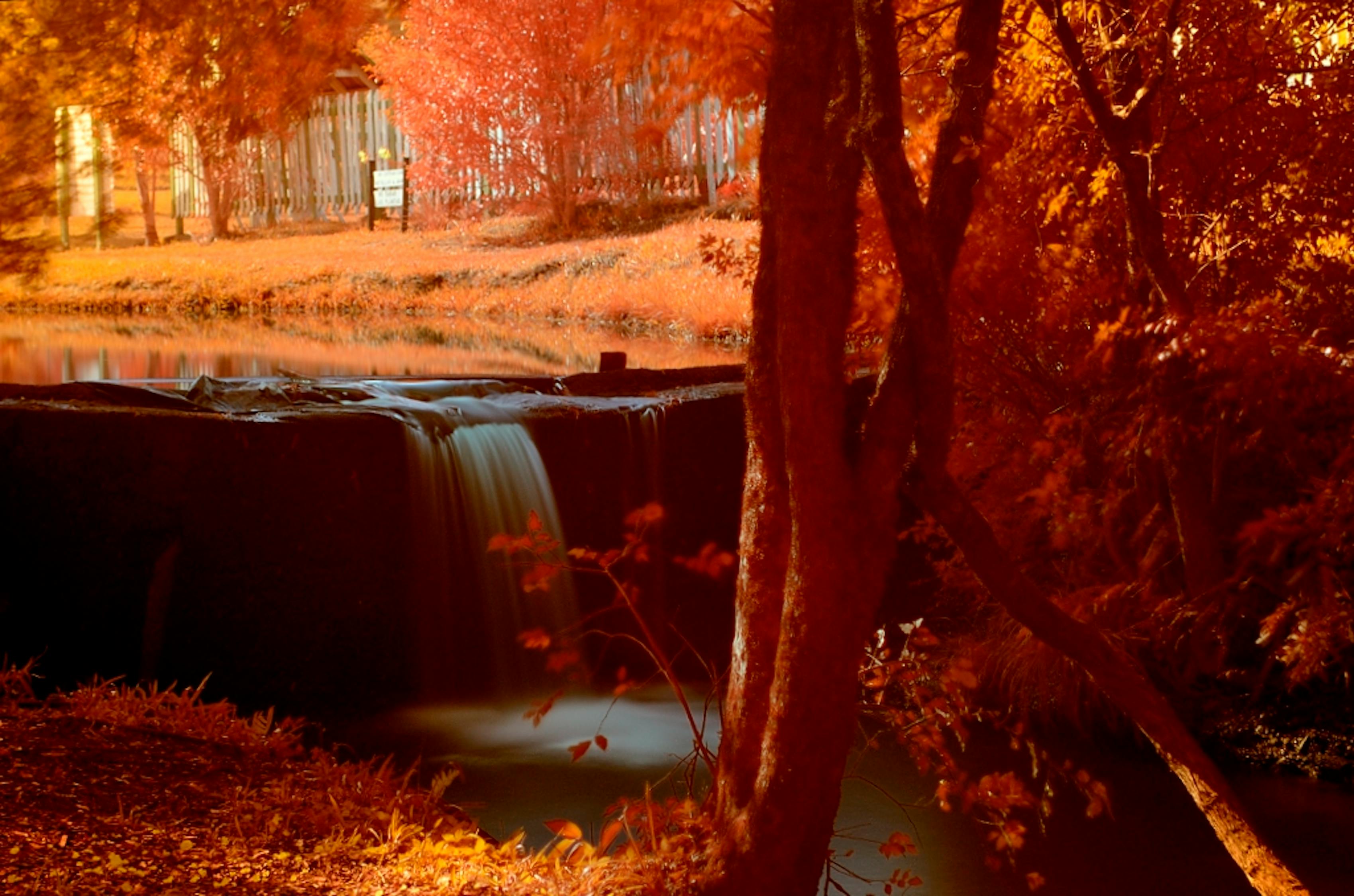 江南烟雨新篇，诗意画卷中的时代变迁与变迁史诗