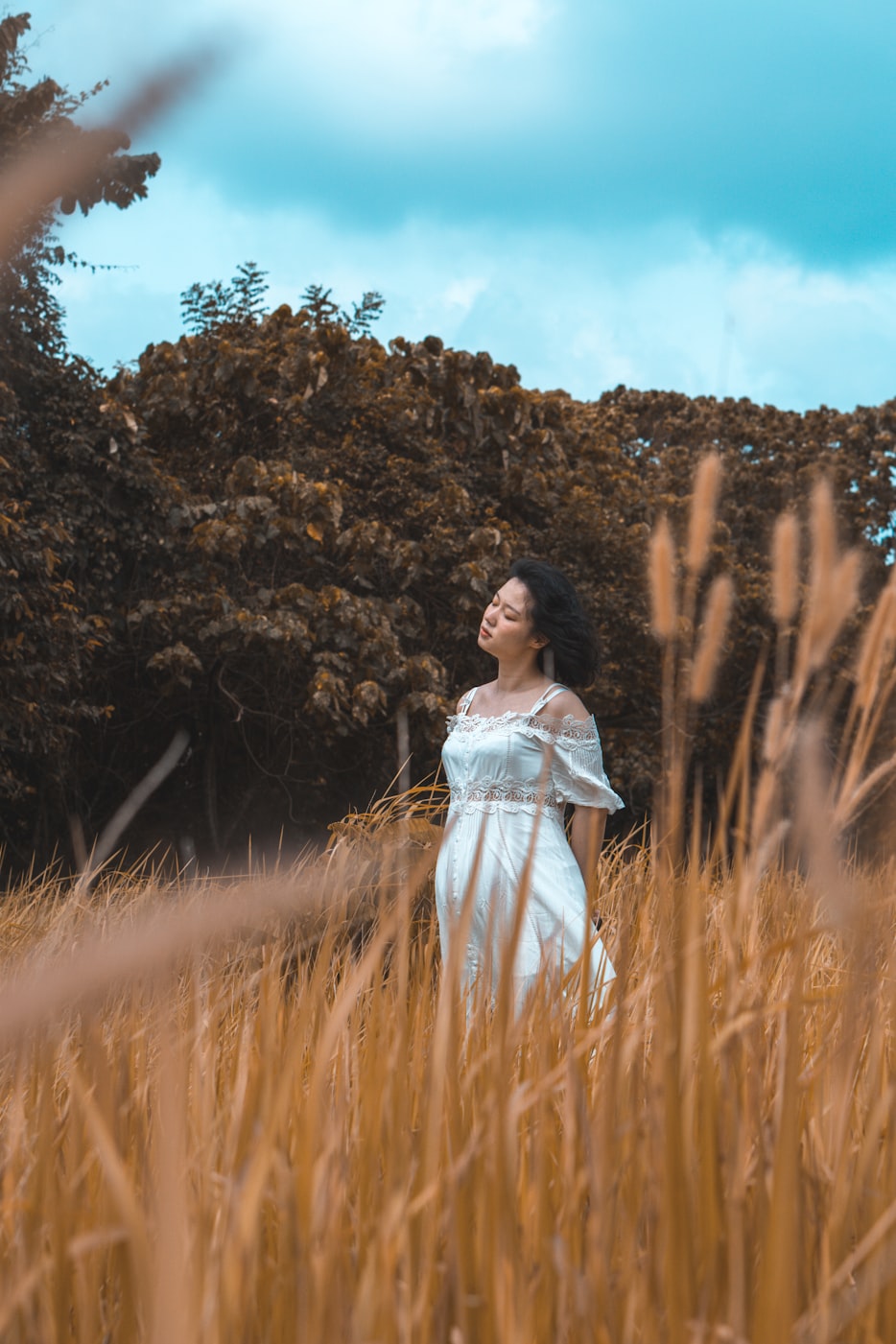 龚玥菲最新动态，闪耀之星，持续发光之路