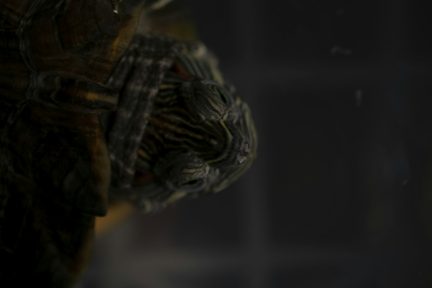 合肥北城医院最新动态,引领健康,创新未来之路