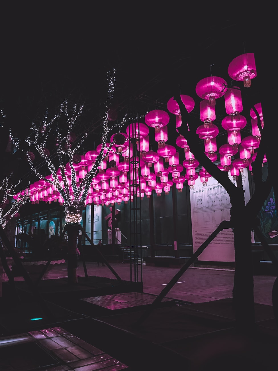 北京皮卡政策最新动态解读与深度分析