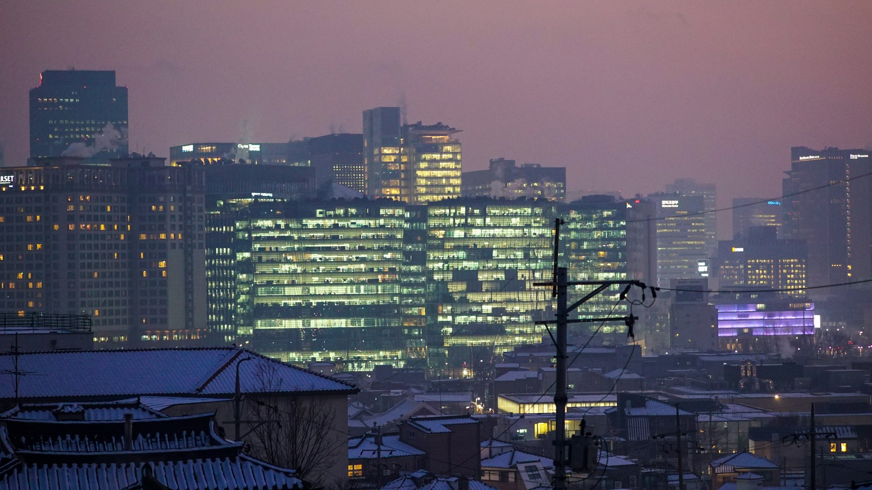 东京最新免费探索,城市魅力与惊喜之旅