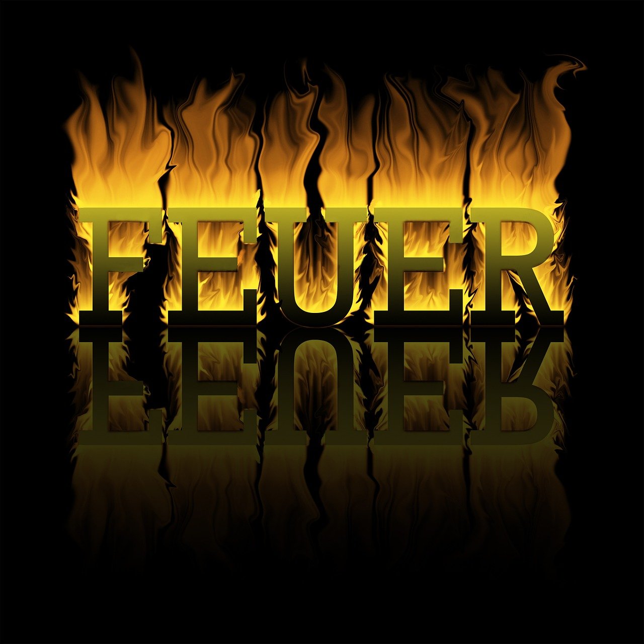 探索电影宝藏,最新热门电影网站一览