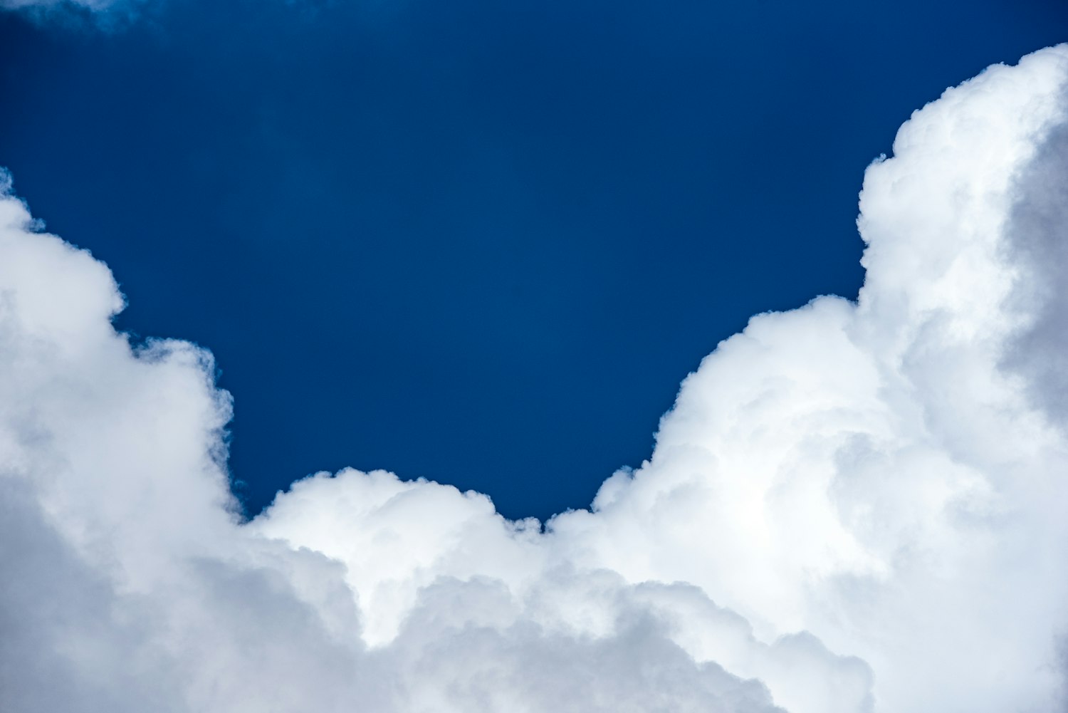 山东最新海洋天气预报及其影响分析