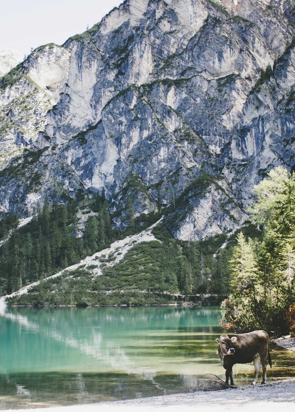 龙磁科技上市动态,迈向资本市场的步伐及前景展望