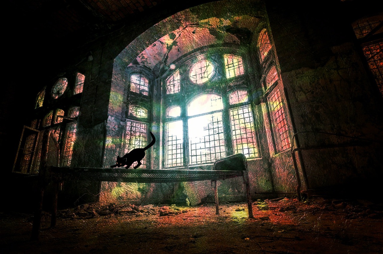 蝎子电影,探寻神秘与力量的影视之作