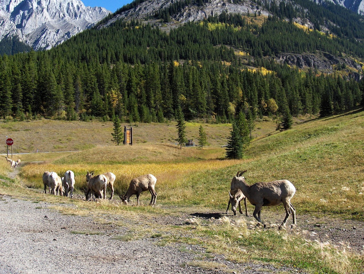 深圳天道医药引领行业变革,共创健康未来最新动态