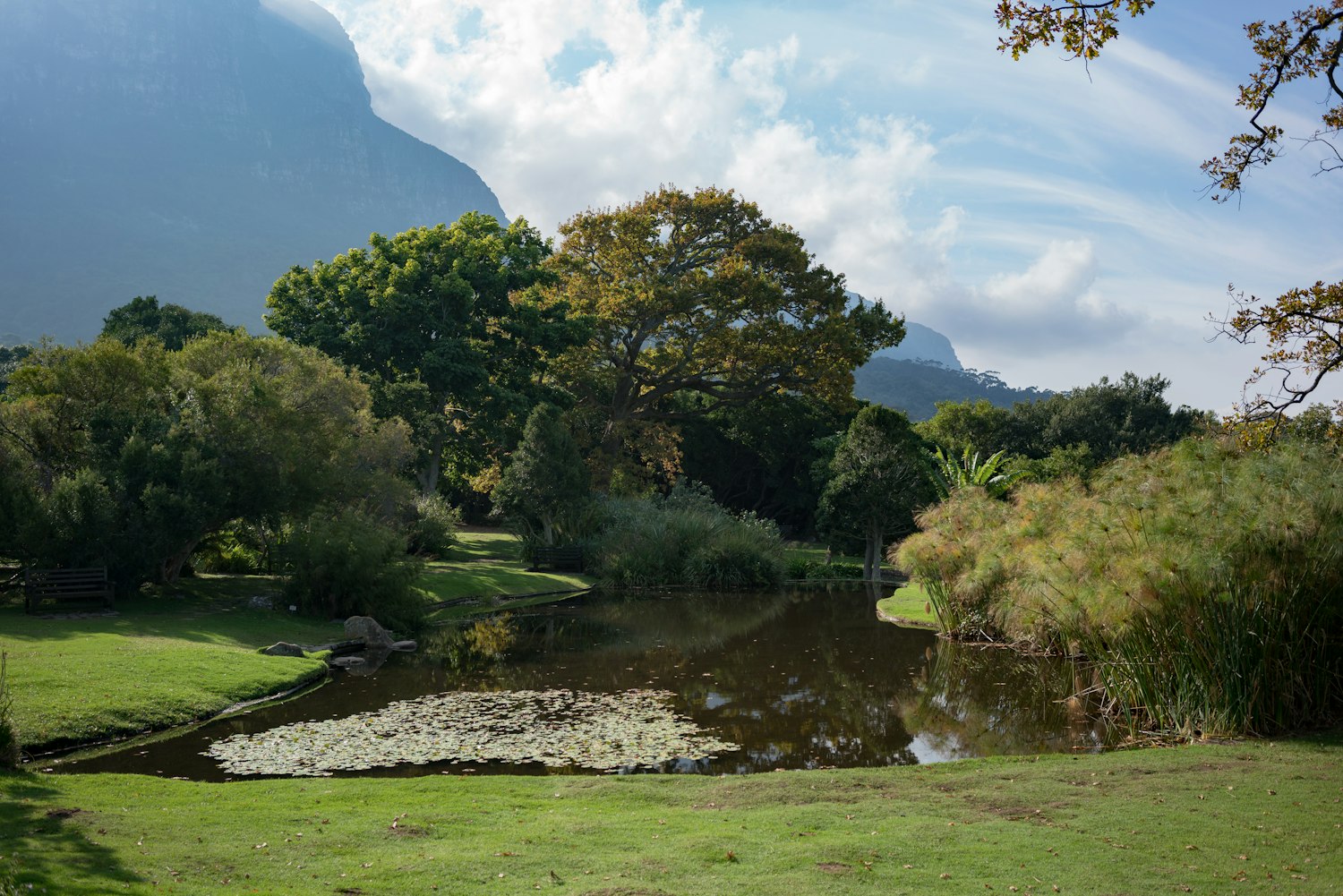 辰山植物园门票价格详解及攻略