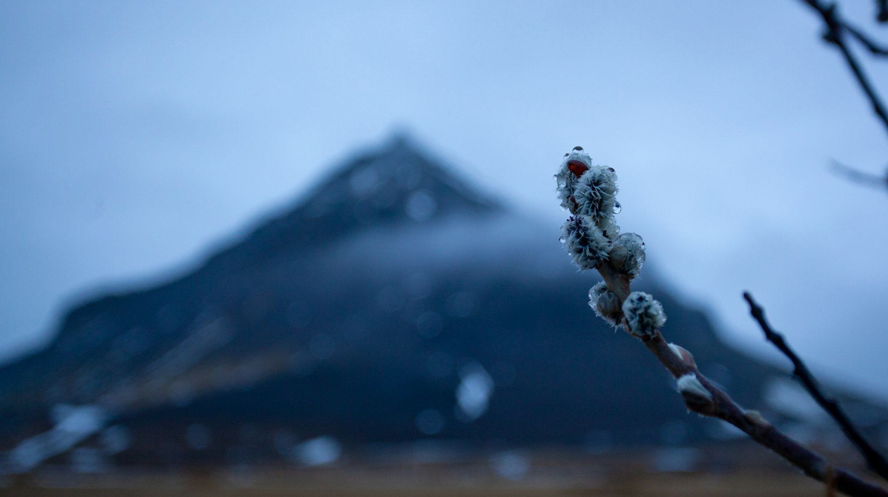 中缅高铁最新进展、挑战及前景展望,最新动态揭秘