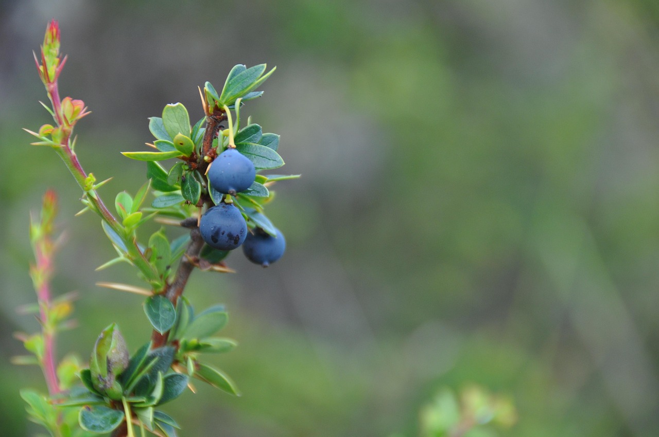 环境资讯速递，探索绿色发展前沿动态