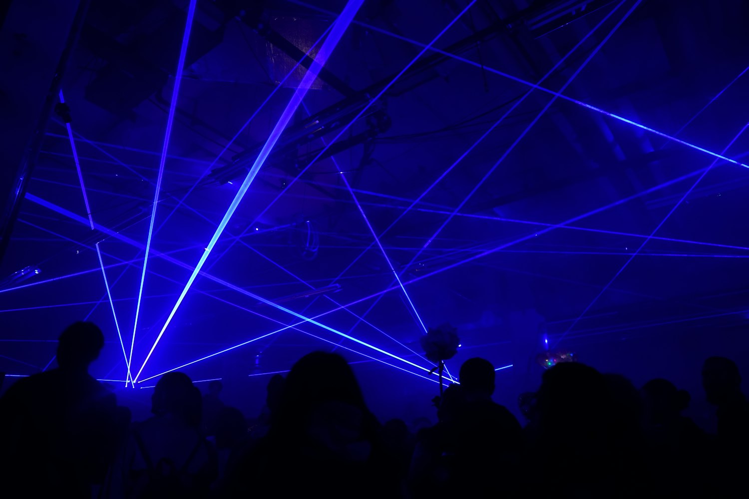 三树林专场演出,文化与自然的交响之夜